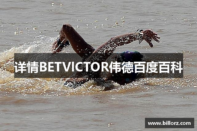 详情BETVlCTOR伟德百度百科